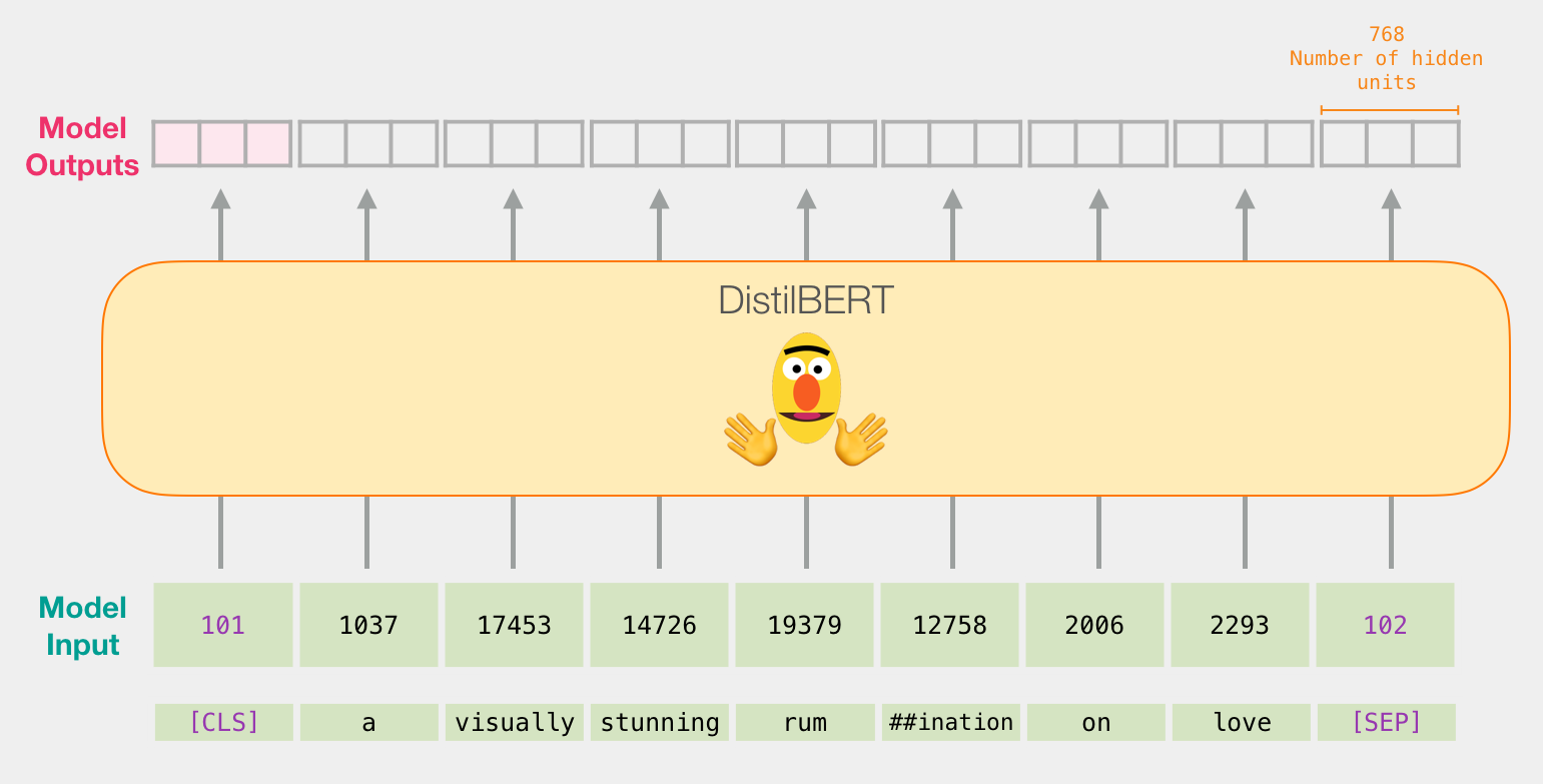 bert-model-input-output-1